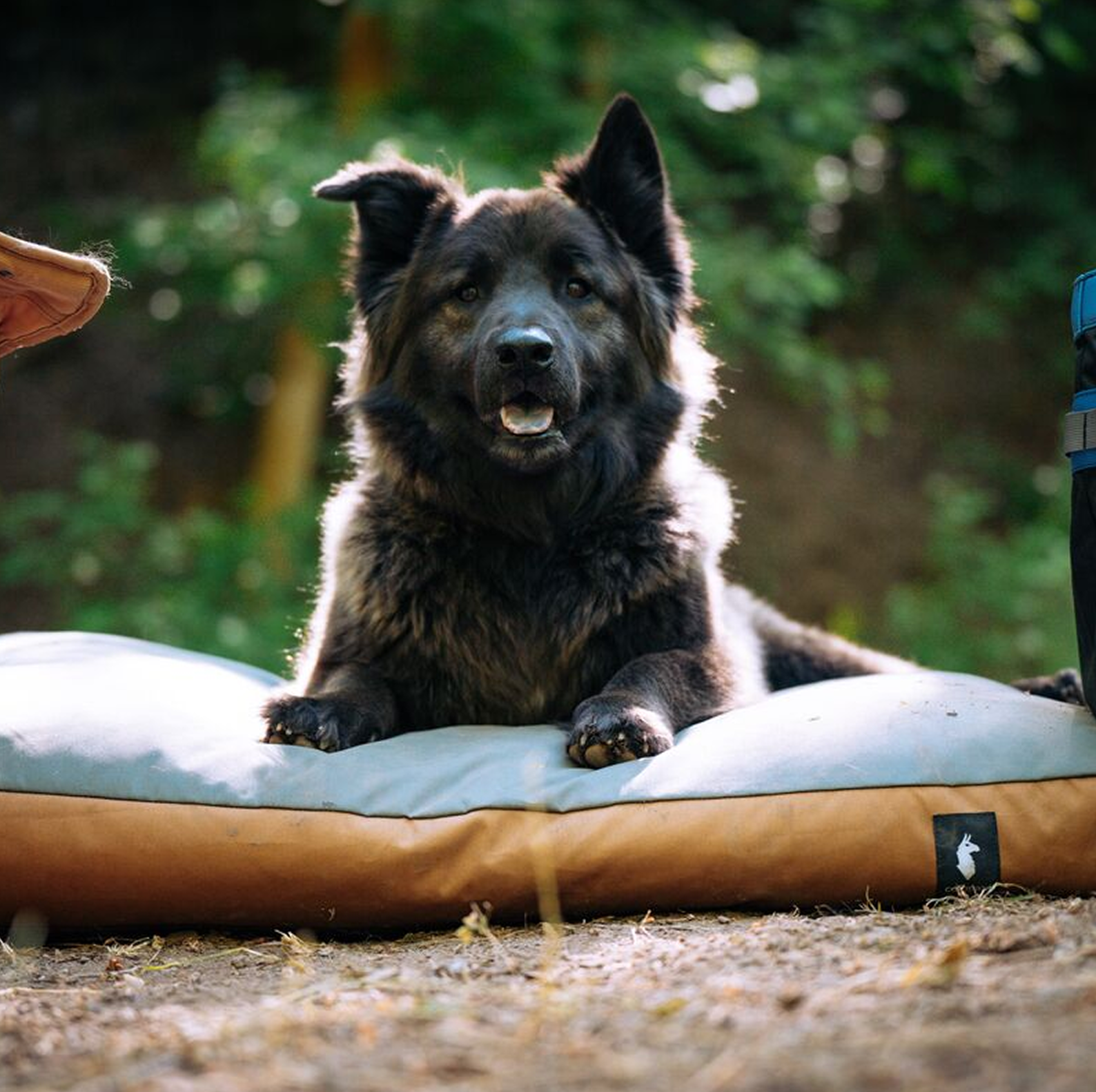 Del D??a Dog Bed - Image 8